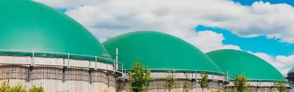 Soluciones al Purin de cerdo