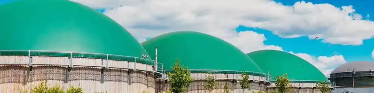 Soluciones al Purin de cerdo